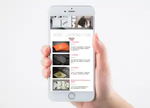 镜头追故宫 十七载光影情