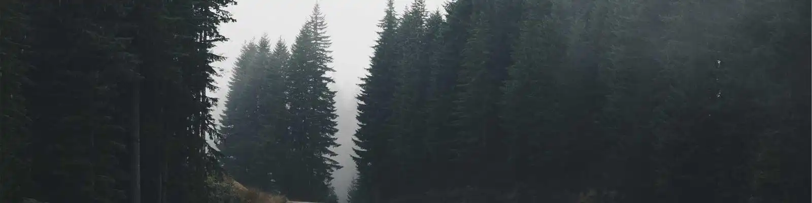 东旭光电造假风波再起波澜！广州证券被旧账新算，诉讼风暴卷土重来