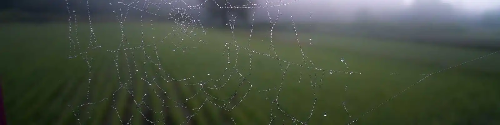 特朗普突发奇想：批准进口萌系神车！日本K-Car登陆美国，只因总统亲赞太可爱了