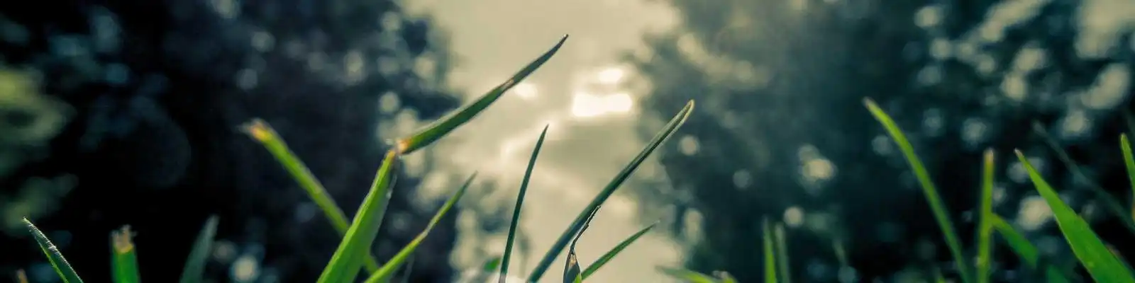 《世界品牌年鉴2025》震撼首发：全球TOP100品牌新势力图谱揭晓！