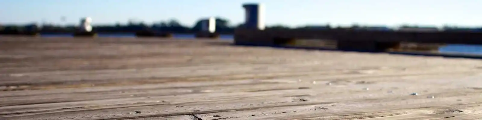 中文+技能点燃全球教育新热潮