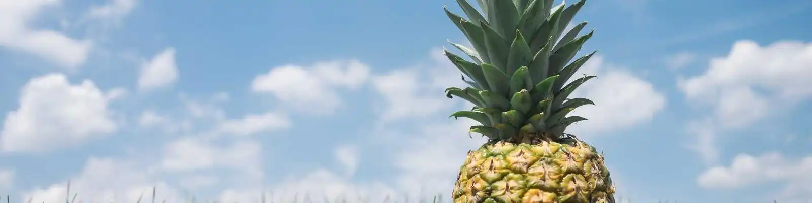 云冈石窟大佛流鼻涕引关注 官方紧急封闭处置渗水