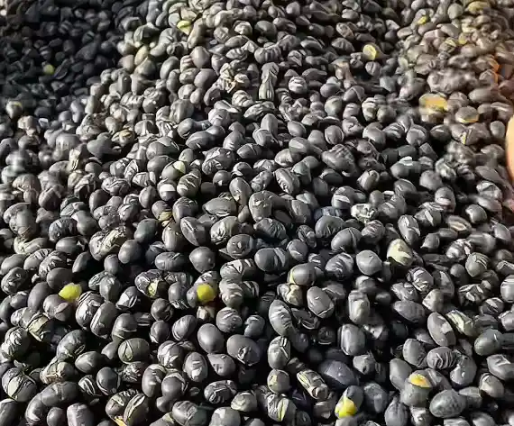 被遗忘的营养宝藏！每天一把，健康翻倍