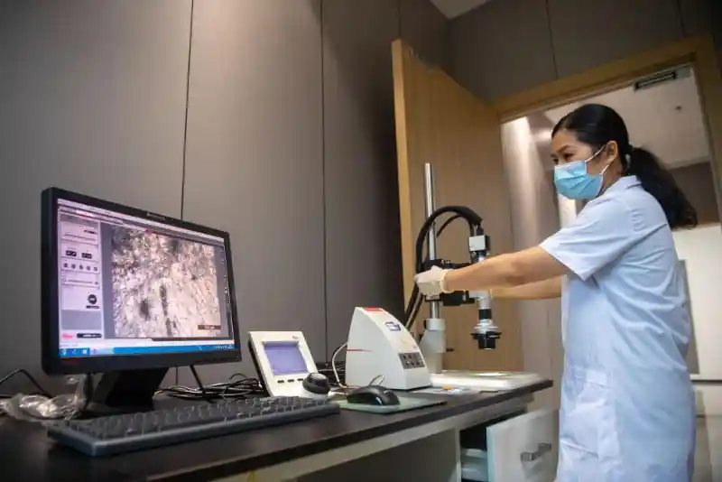 2025世界互联网大会：数字魔法唤醒千年遗产