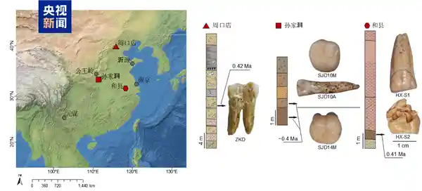 我国科学家首揭直立人基因密码，破解人类演化千年之谜